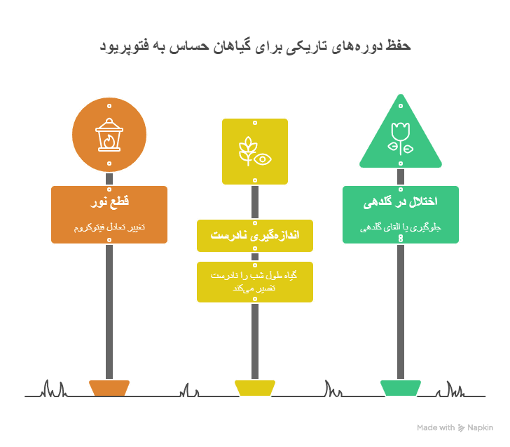 فتوپریودیسم چیست؟